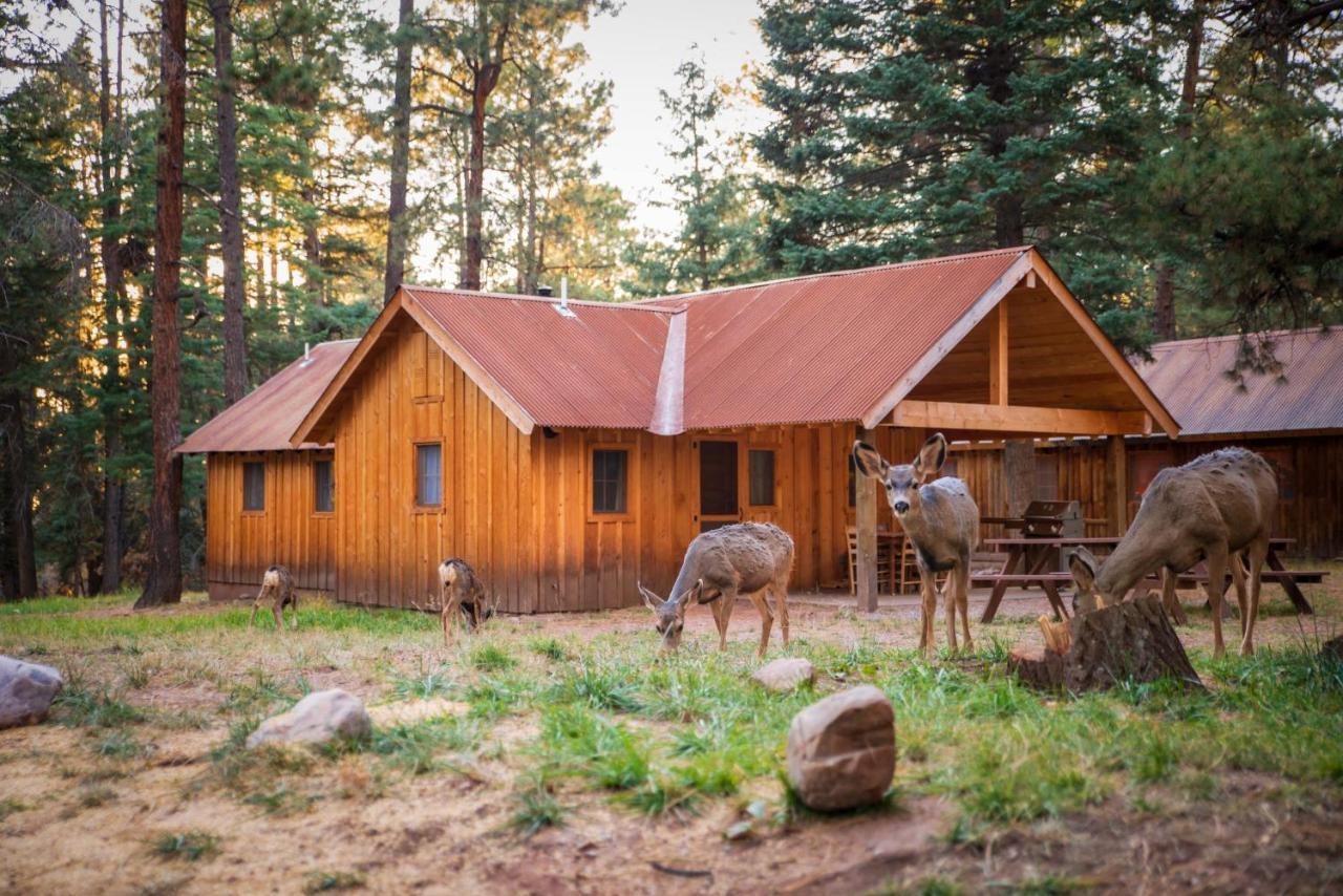 Corkins Lodge Chama エクステリア 写真
