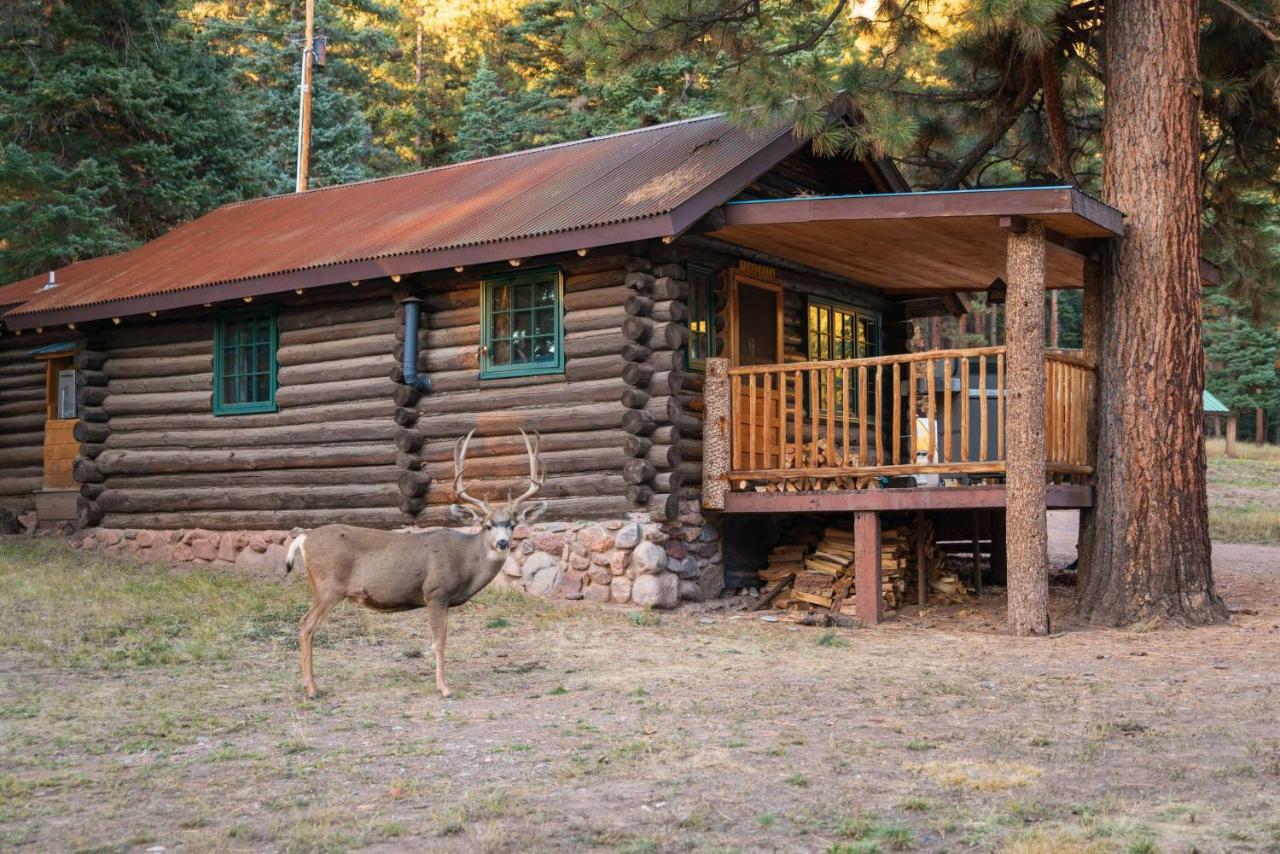 Corkins Lodge Chama エクステリア 写真