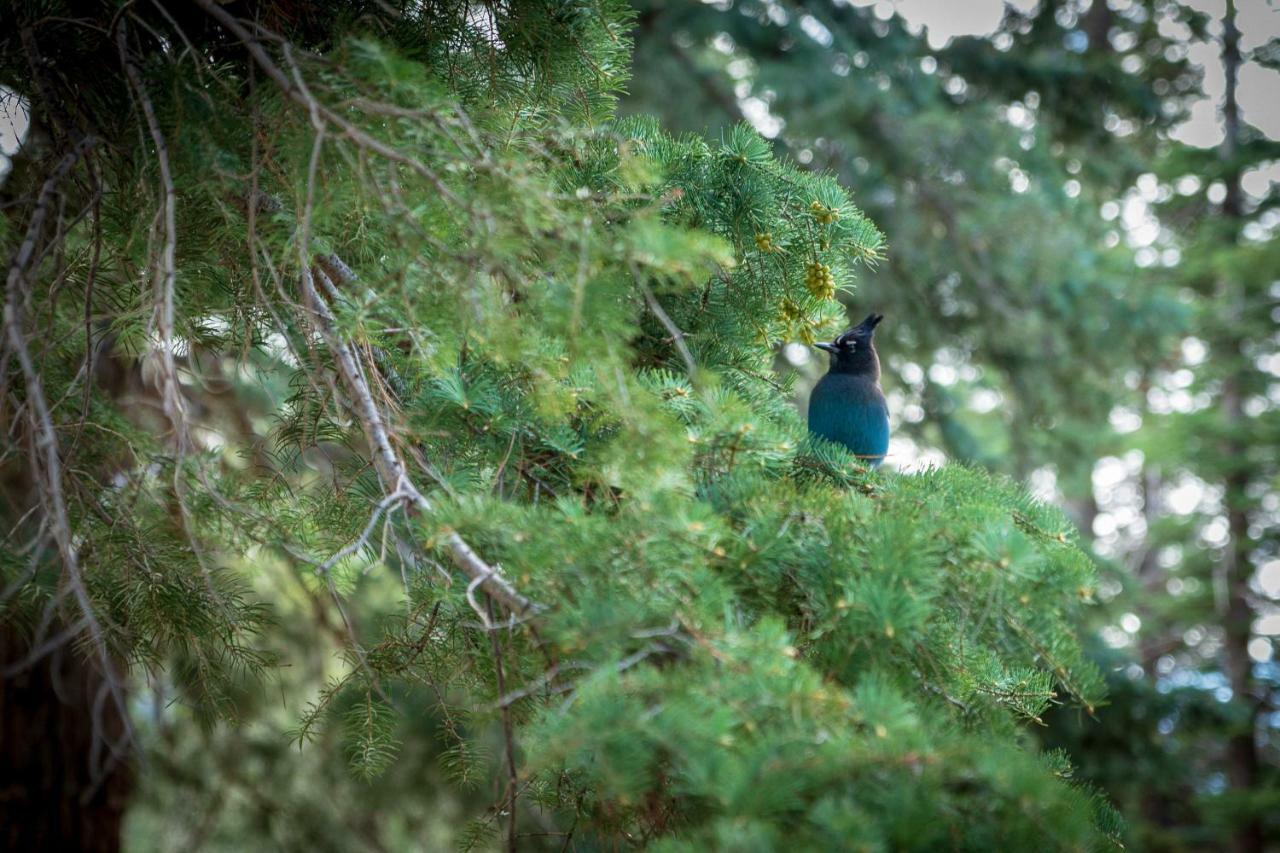 Corkins Lodge Chama エクステリア 写真