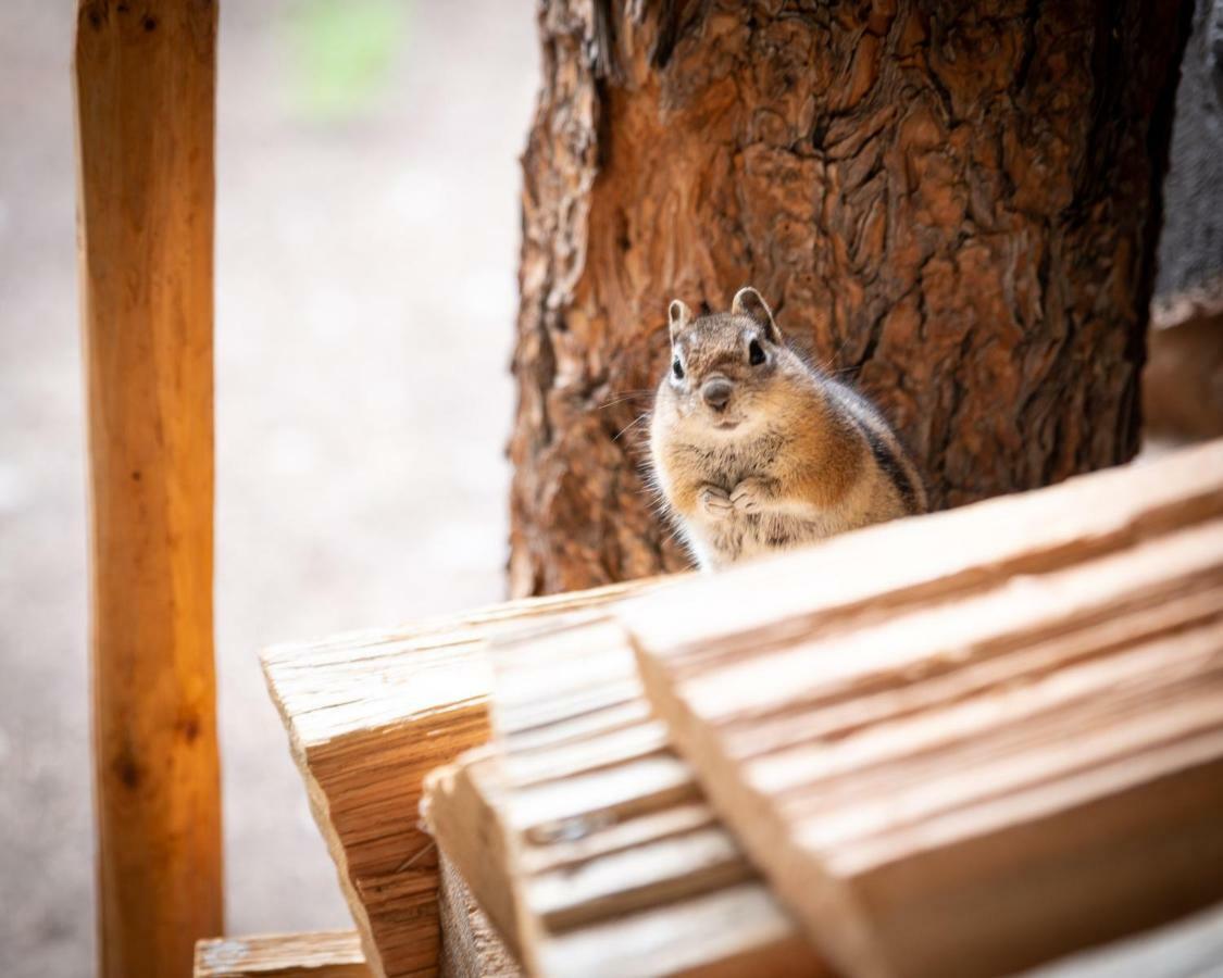 Corkins Lodge Chama エクステリア 写真
